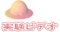実験ビデオ