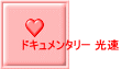 ドキュメンタリー 光速 